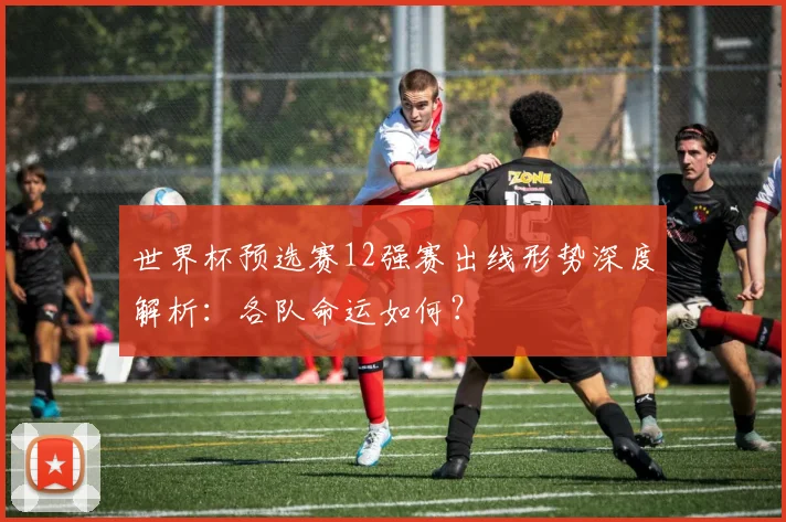 世界杯预选赛12强赛出线形势深度解析：各队命运如何？
