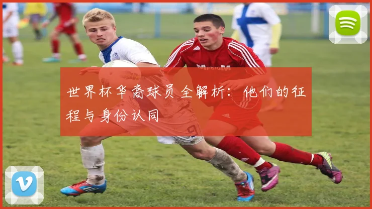 世界杯华裔球员全解析：他们的征程与身份认同