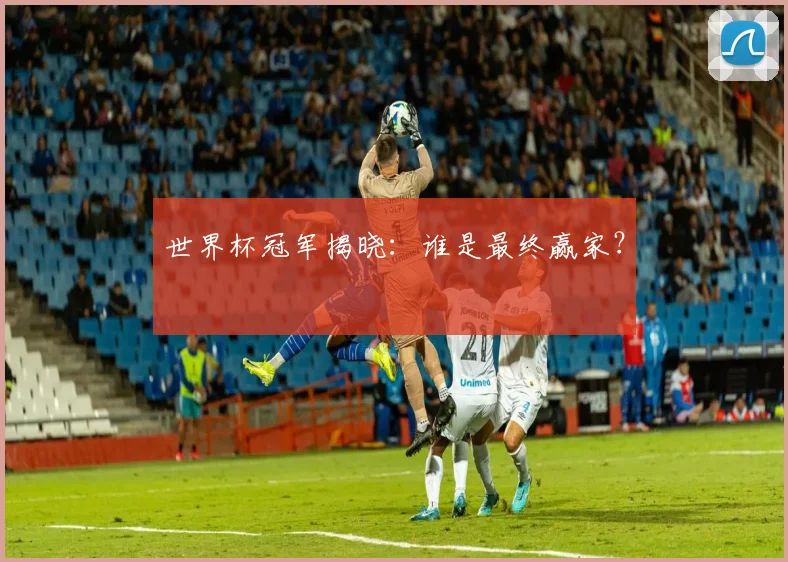 世界杯冠军揭晓：谁是最终赢家？