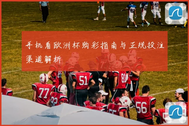 手机看欧洲杯购彩指南与正规投注渠道解析