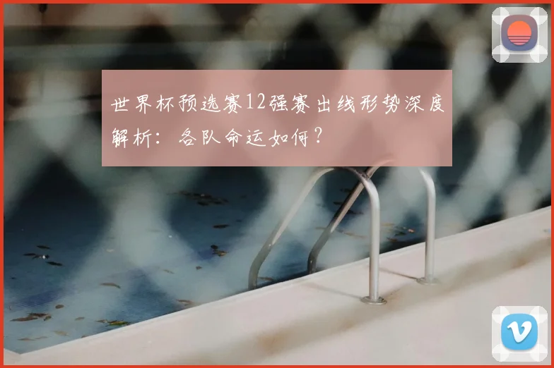 世界杯预选赛12强赛出线形势深度解析：各队命运如何？