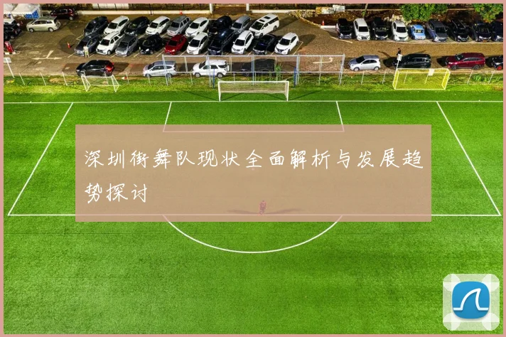 深圳街舞队现状全面解析与发展趋势探讨