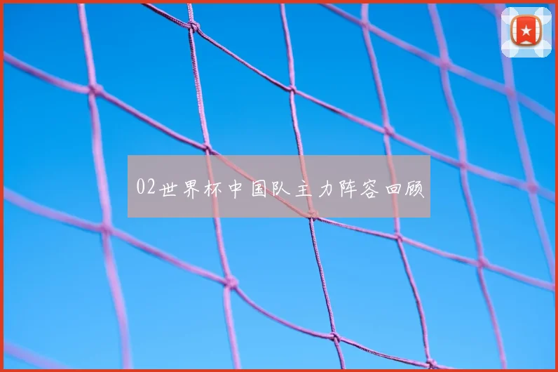 02世界杯中国队主力阵容回顾