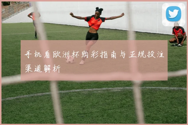 手机看欧洲杯购彩指南与正规投注渠道解析
