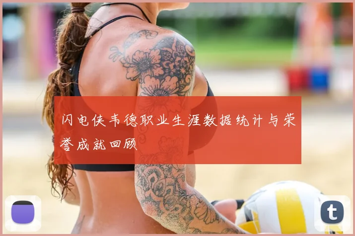 闪电侠韦德职业生涯数据统计与荣誉成就回顾