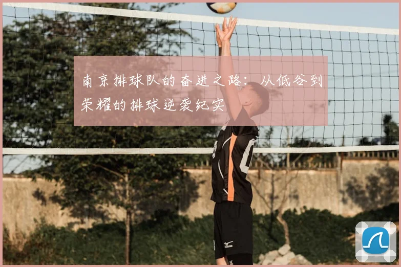 南京排球队的奋进之路：从低谷到荣耀的排球逆袭纪实