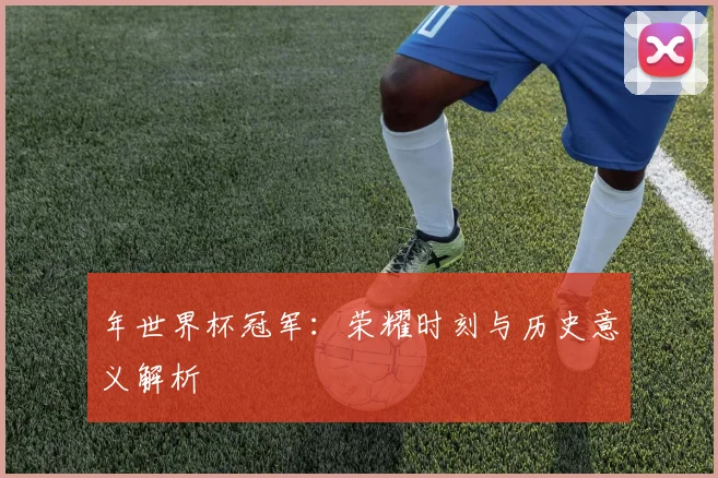 年世界杯冠军：荣耀时刻与历史意义解析